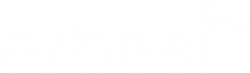 erbesi-logo.png